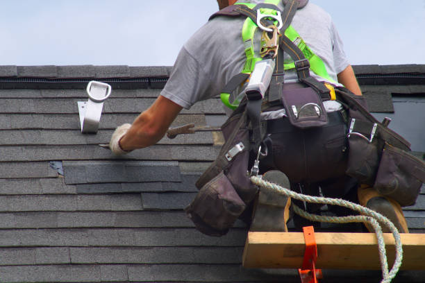 Best Roof Gutter Cleaning  in Toluca, IL