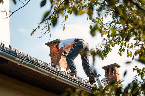Sealant for Roof in Toluca, IL