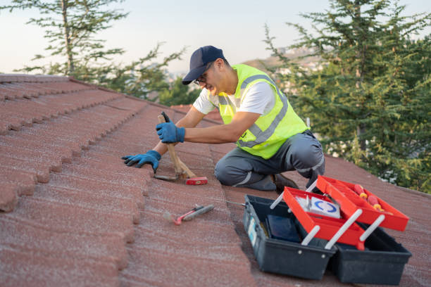 Best Roof Restoration Services  in Toluca, IL