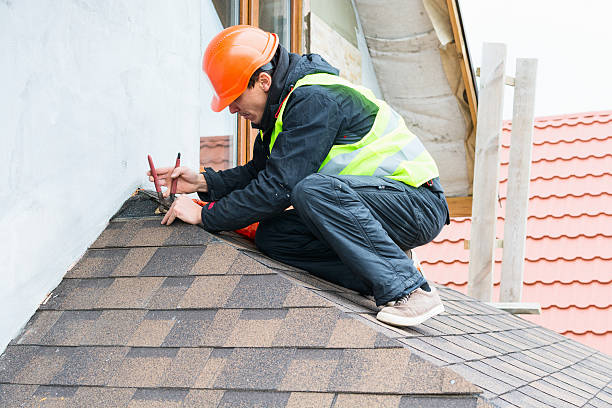 Best Roof Leak Repair  in Toluca, IL