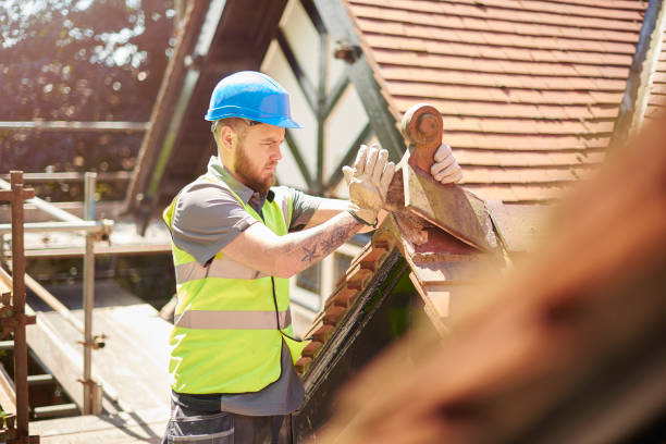 Best Local Roofing Companies  in Toluca, IL