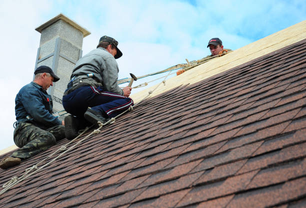 Best Residential Roofing Contractor  in Toluca, IL