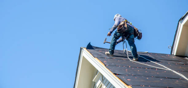 Best Roof Waterproofing Services  in Toluca, IL